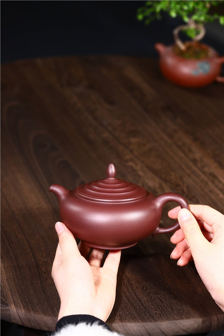范君浩作品 玉兰图片