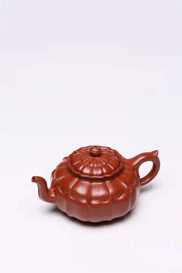 杨慧英作品 菱花图片