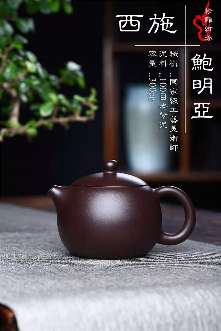 鲍明亚作品 西施图片