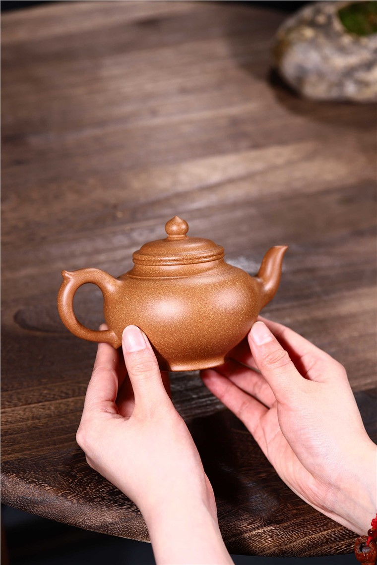 范君浩作品 笑樱图片