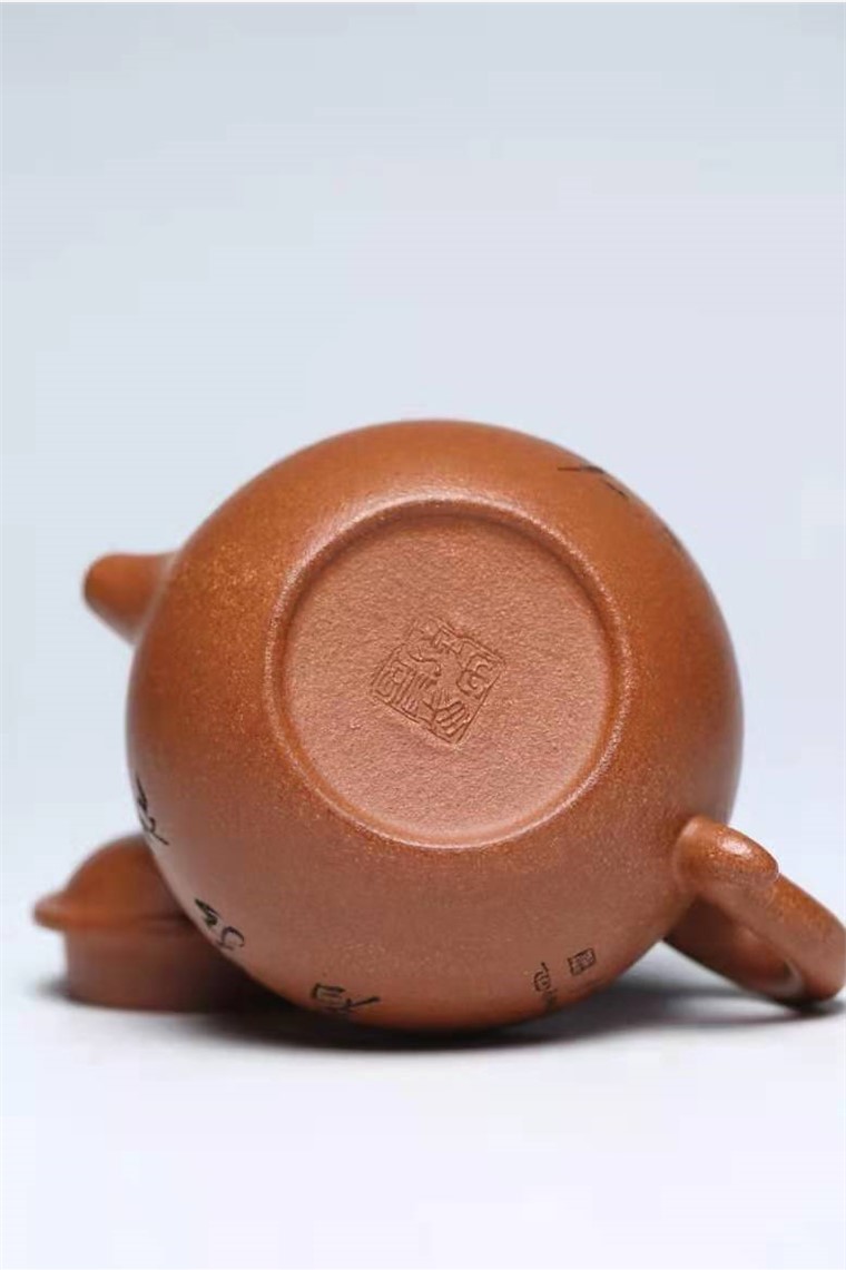 马晨作品 莲子