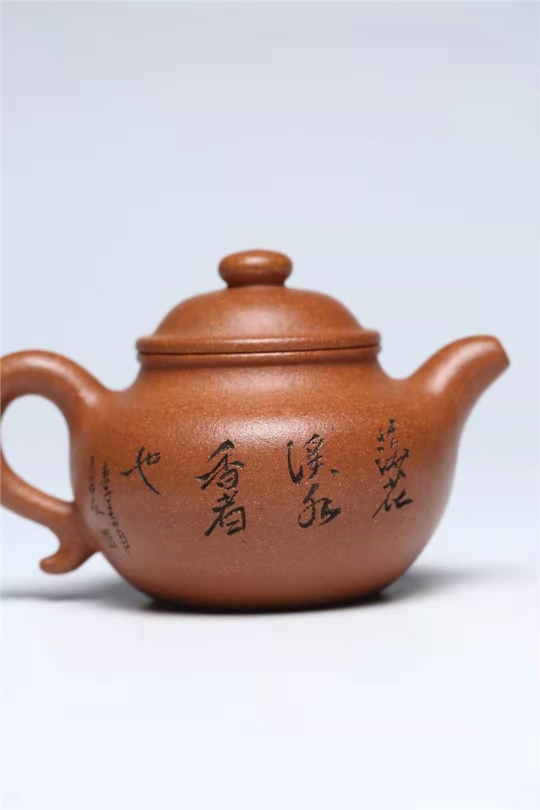 马晨作品 莲子图片