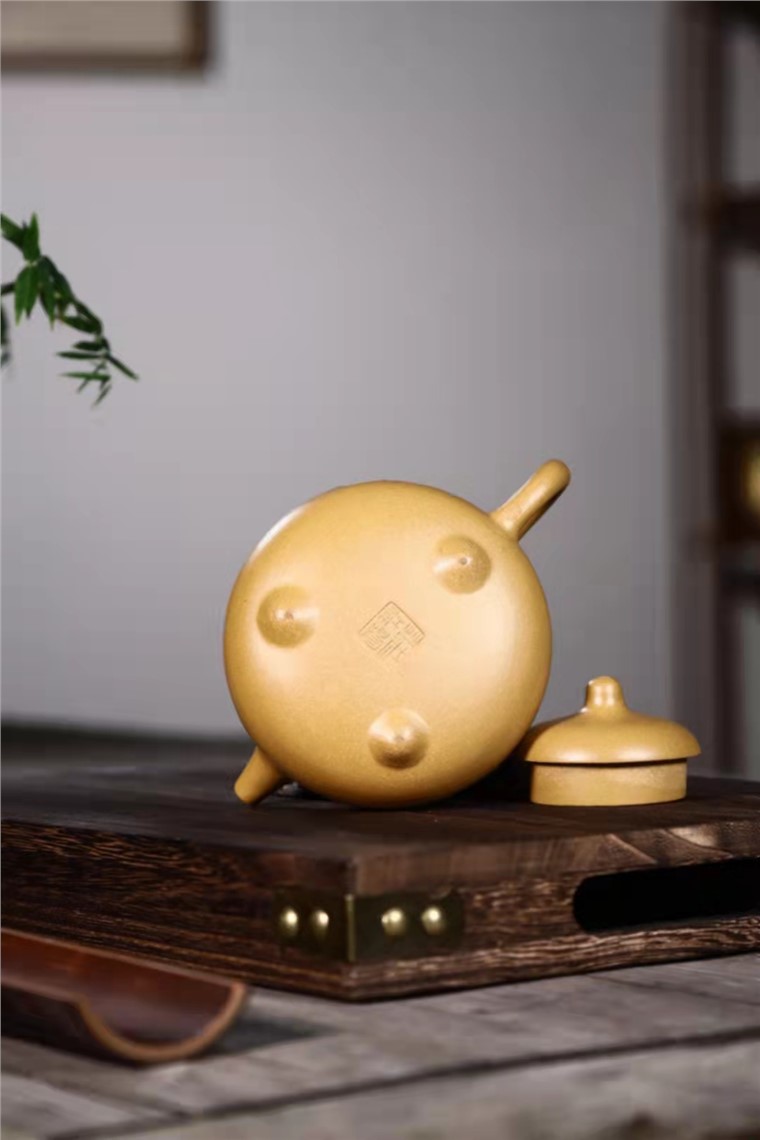 庄红阳作品 乳丁