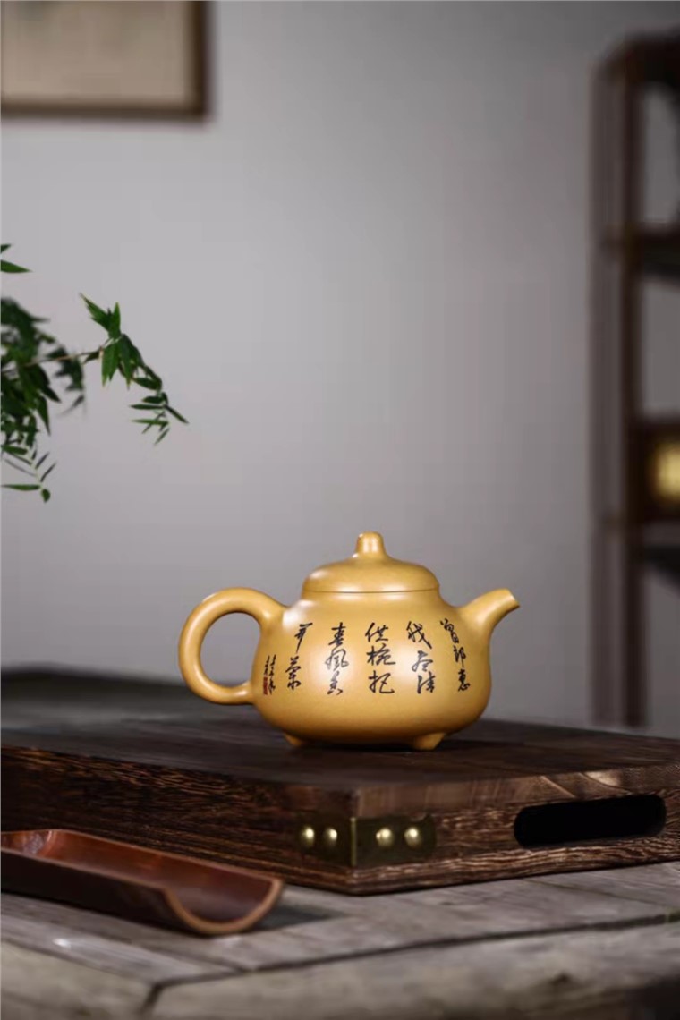 庄红阳作品 乳丁图片