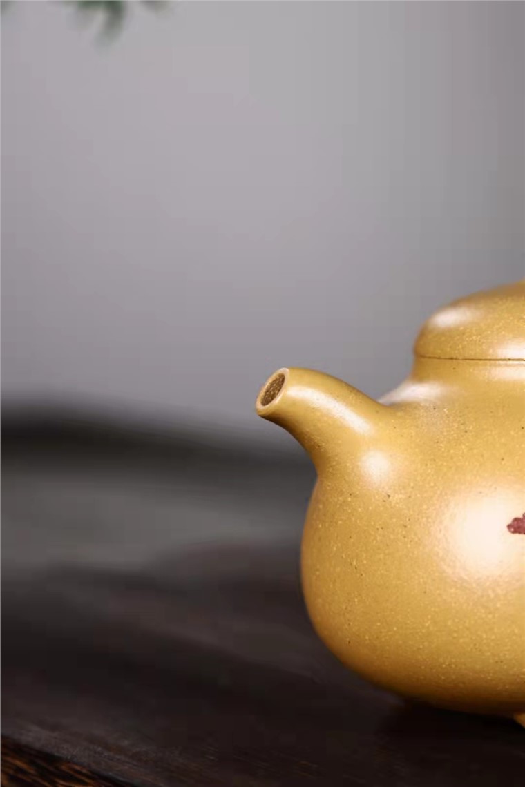 庄红阳作品 乳丁图片