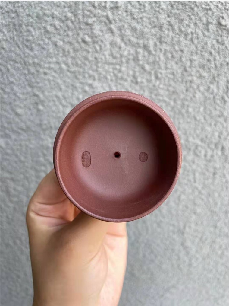 郭超钢作品 柿圆图片