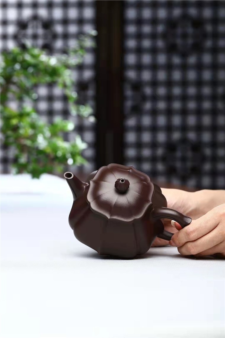 何其仙作品 菱花潘壶图片