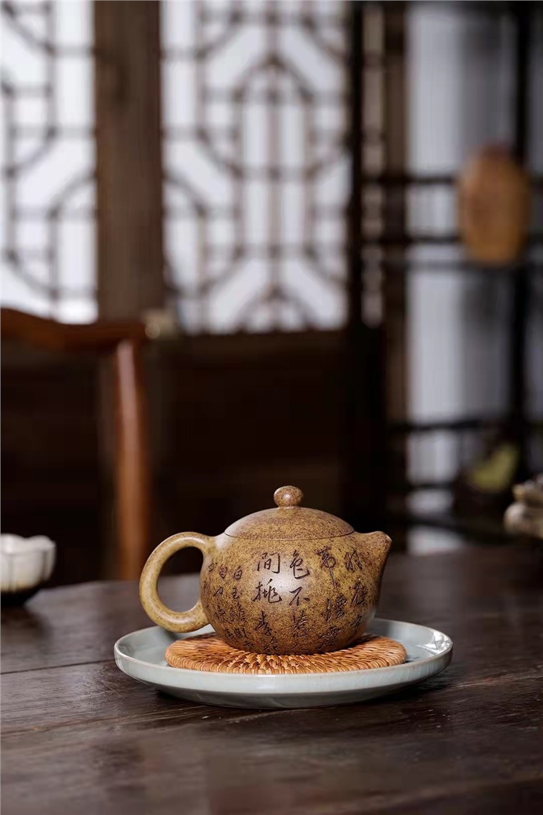 范微琴作品 西施图片