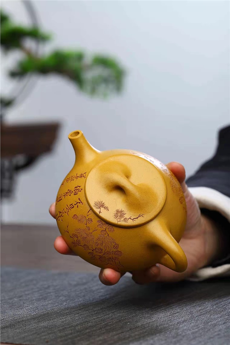 朱丽萍作品 景舟石瓢图片