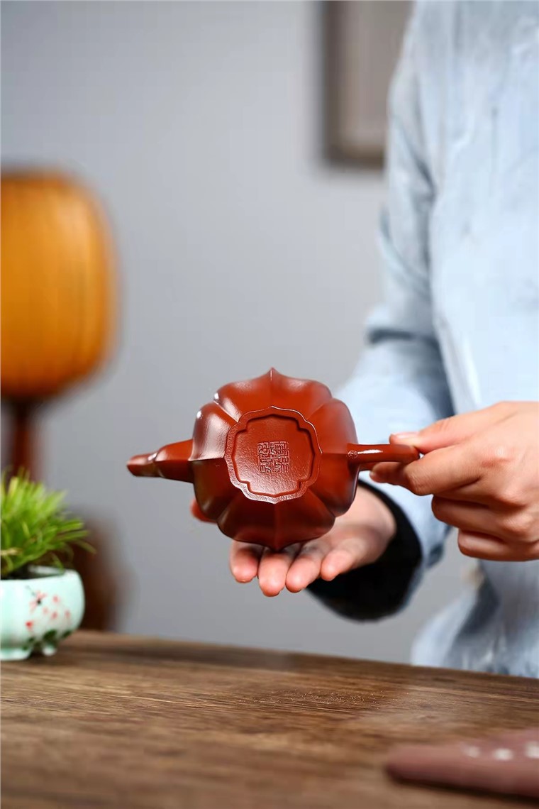 张暗军作品 高筋囊图片
