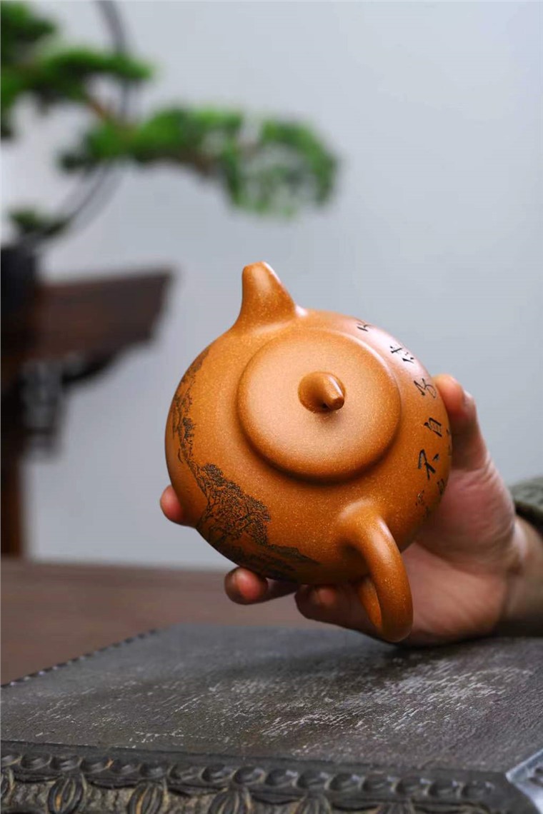 范建新作品 茄瓜图片