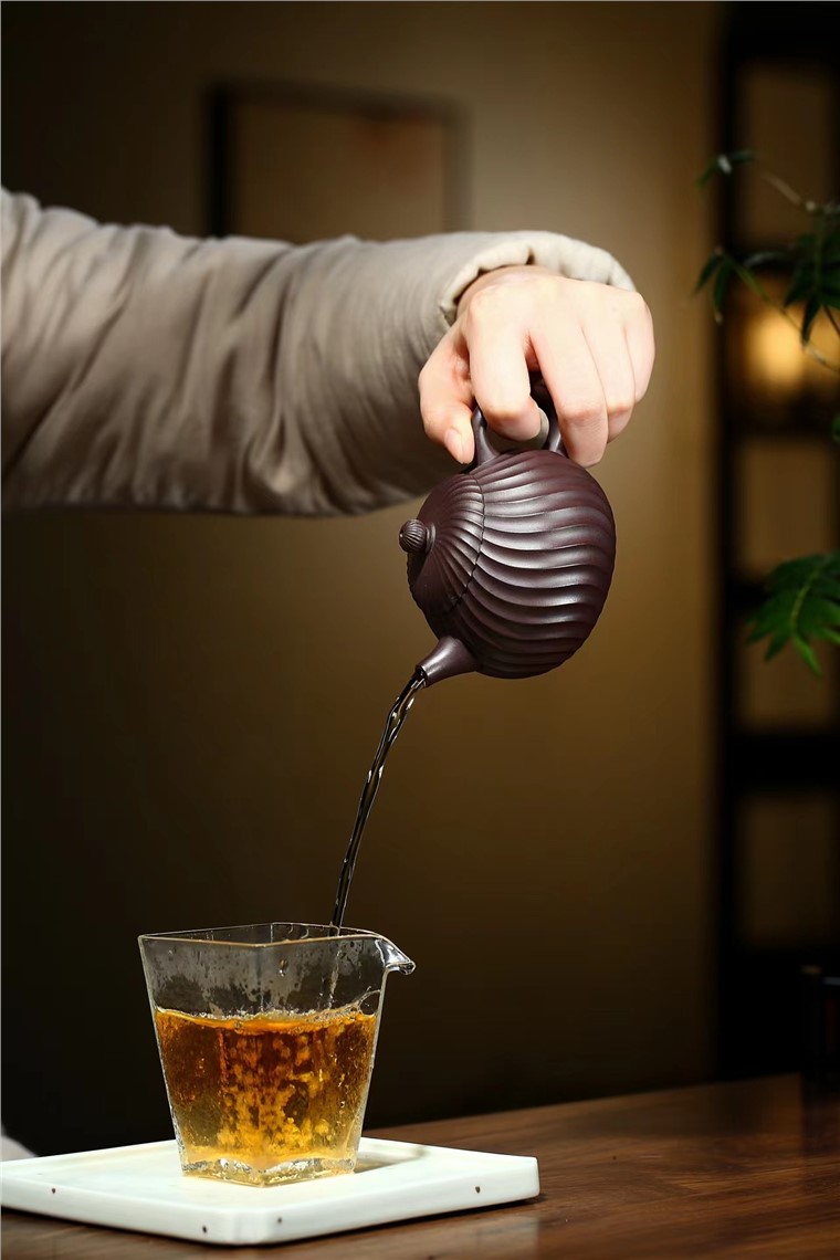 尹听娣作品 筋纹旋菱