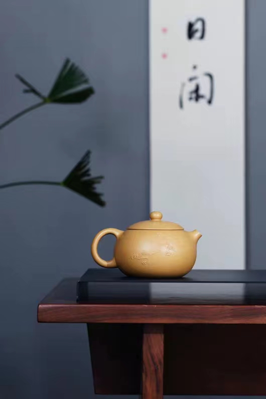 王雅丽作品 西施图片