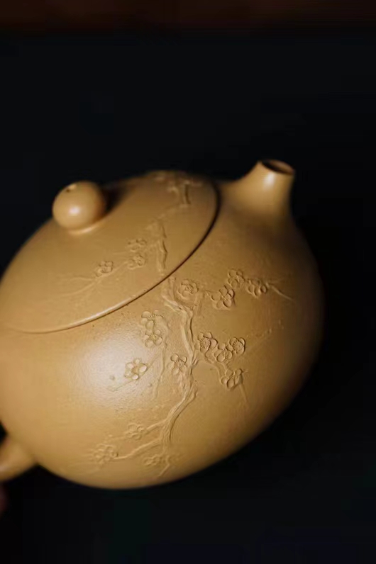 王雅丽作品 西施图片