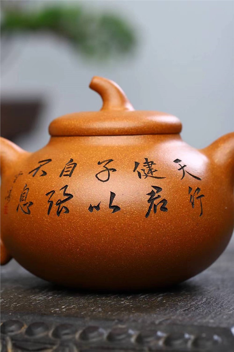 范建新作品 茄瓜图片