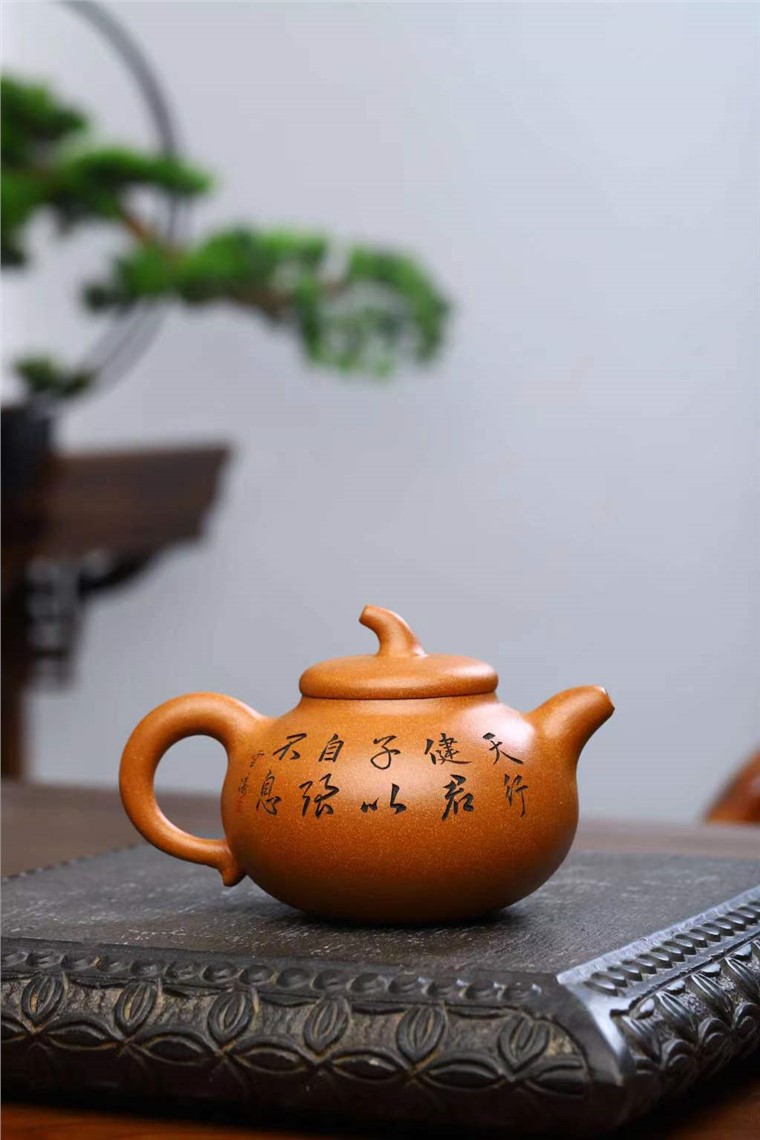 范建新作品 茄瓜图片