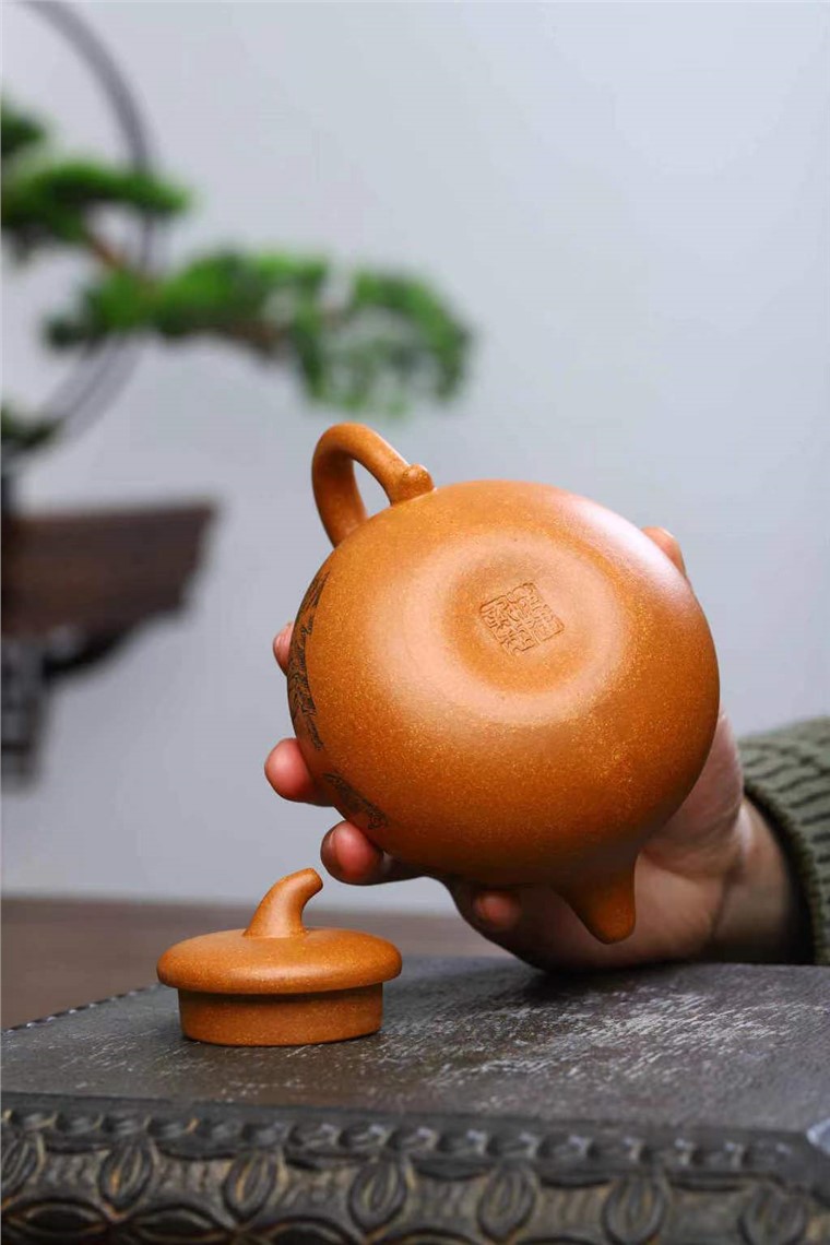 范建新作品 茄瓜图片