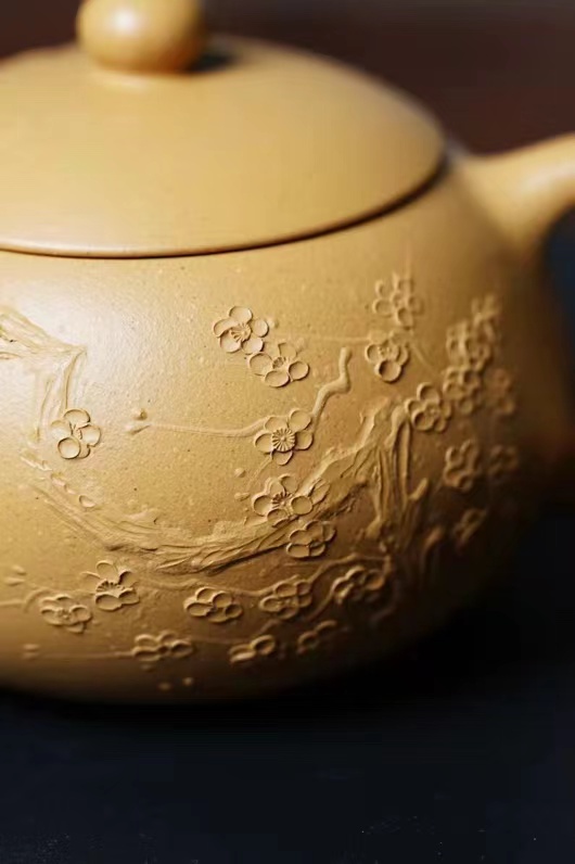 王雅丽作品 西施图片