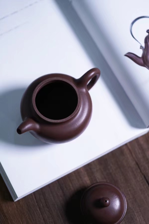 王雅丽作品 寿珍掇球图片
