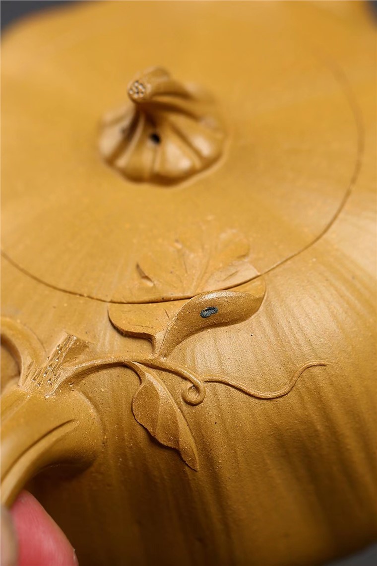范建中作品 南瓜图片