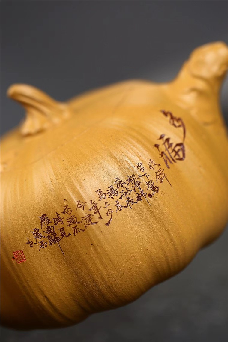 范建中作品 南瓜图片