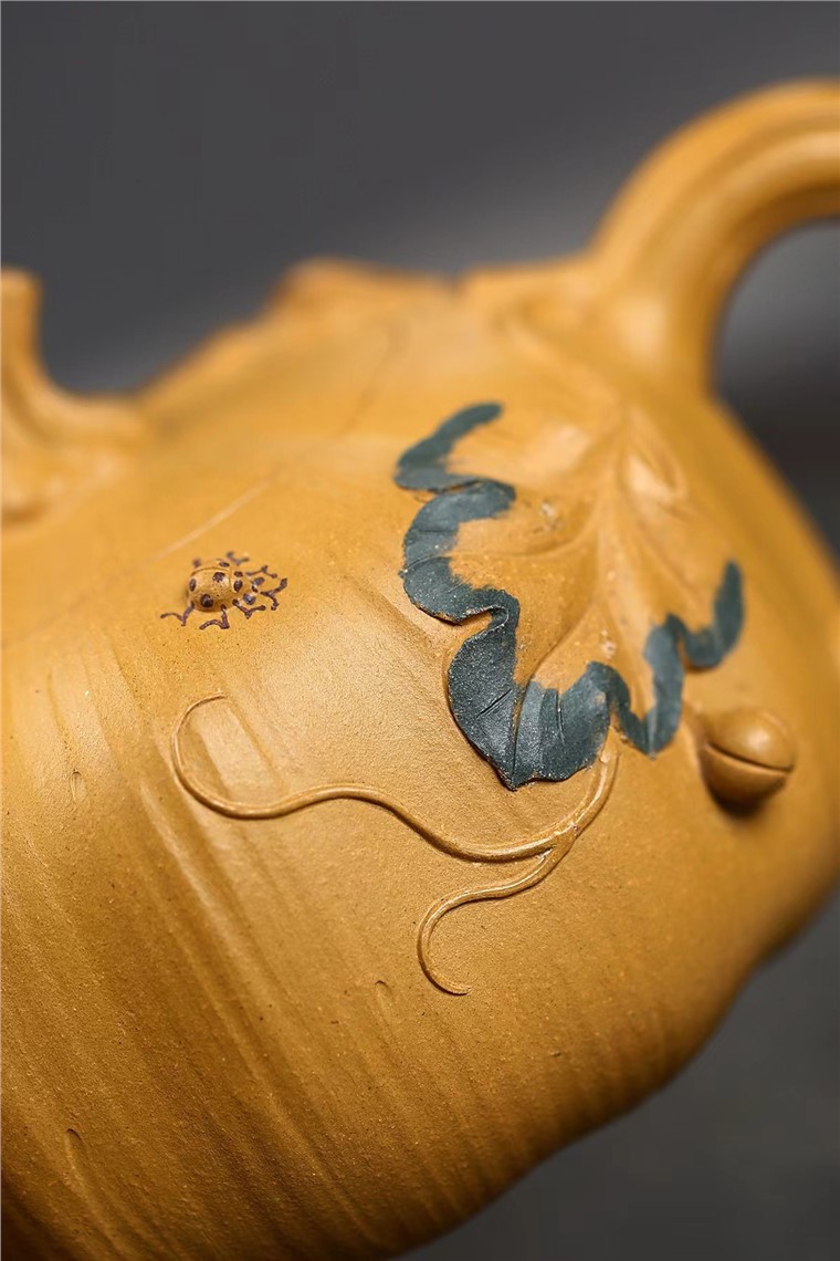 范建中作品 南瓜图片