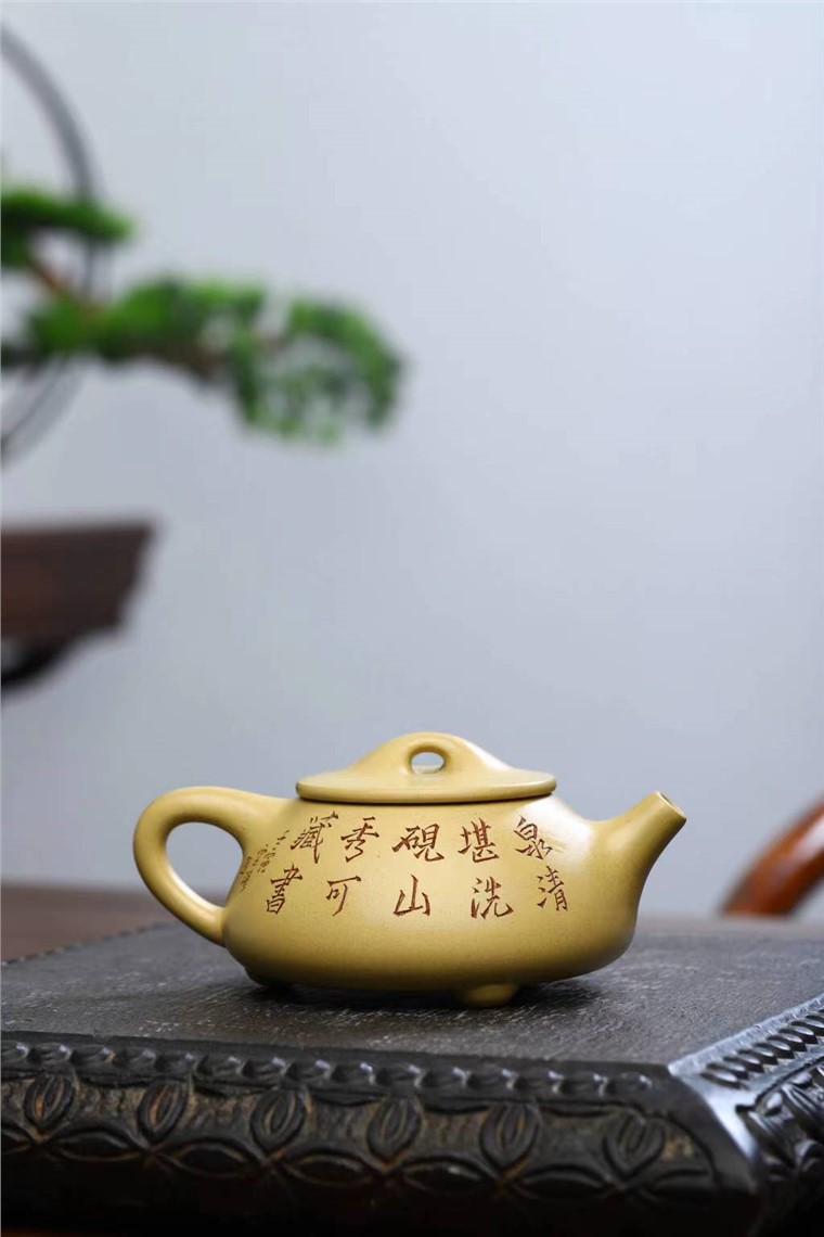 范建新作品 景舟石瓢图片