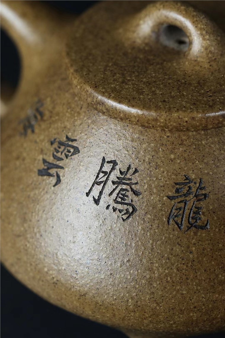 潘国新作品 石瓢图片