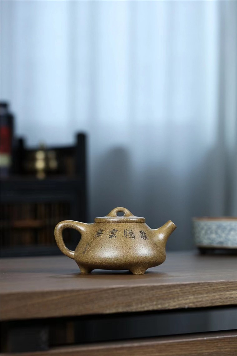 潘国新作品 石瓢图片