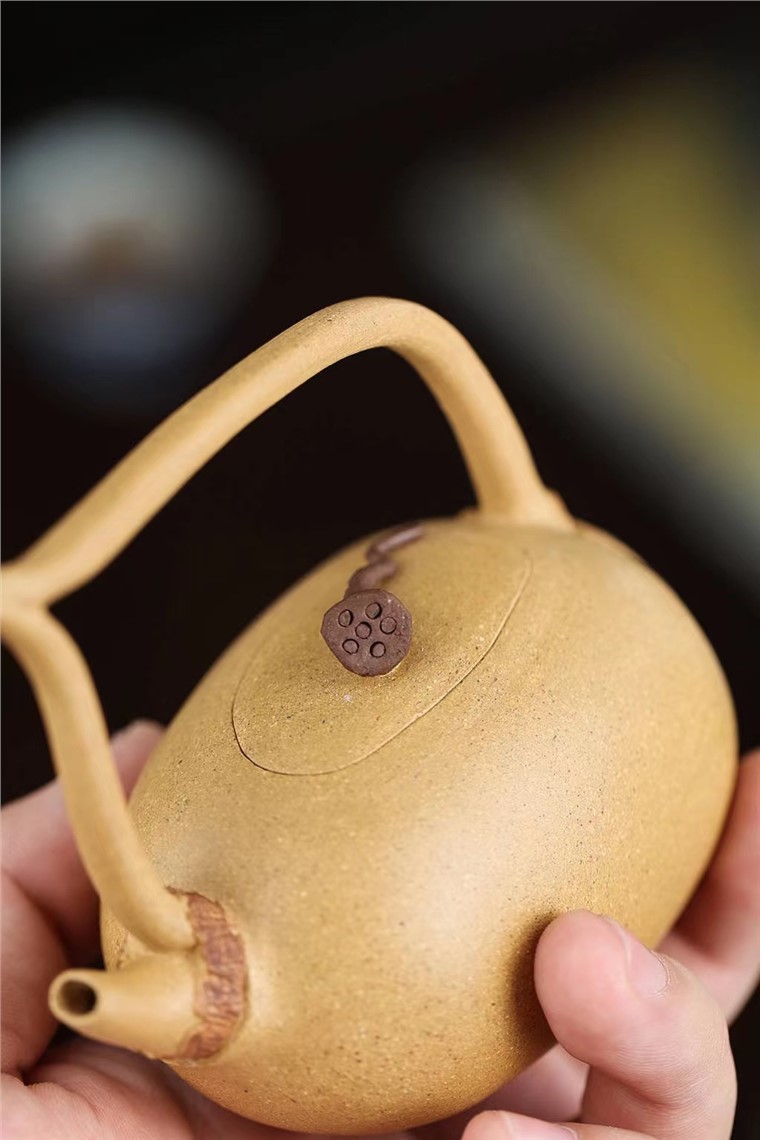 杨菲作品 莲藕图片
