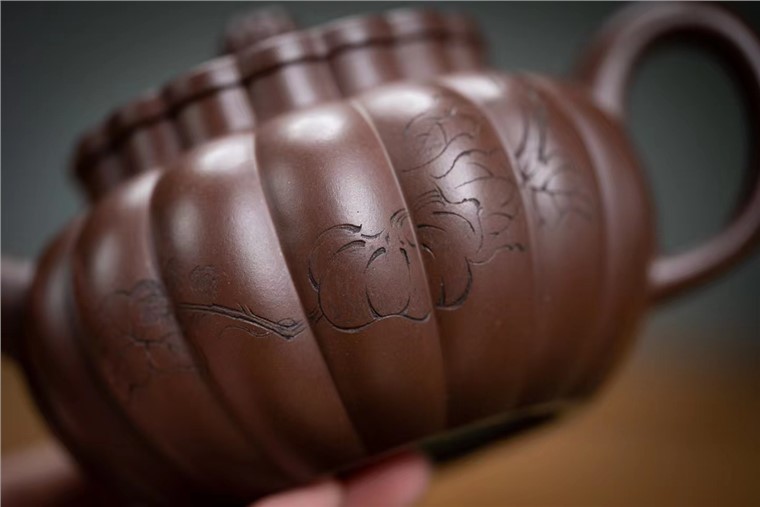 马晨作品 菊蕾图片