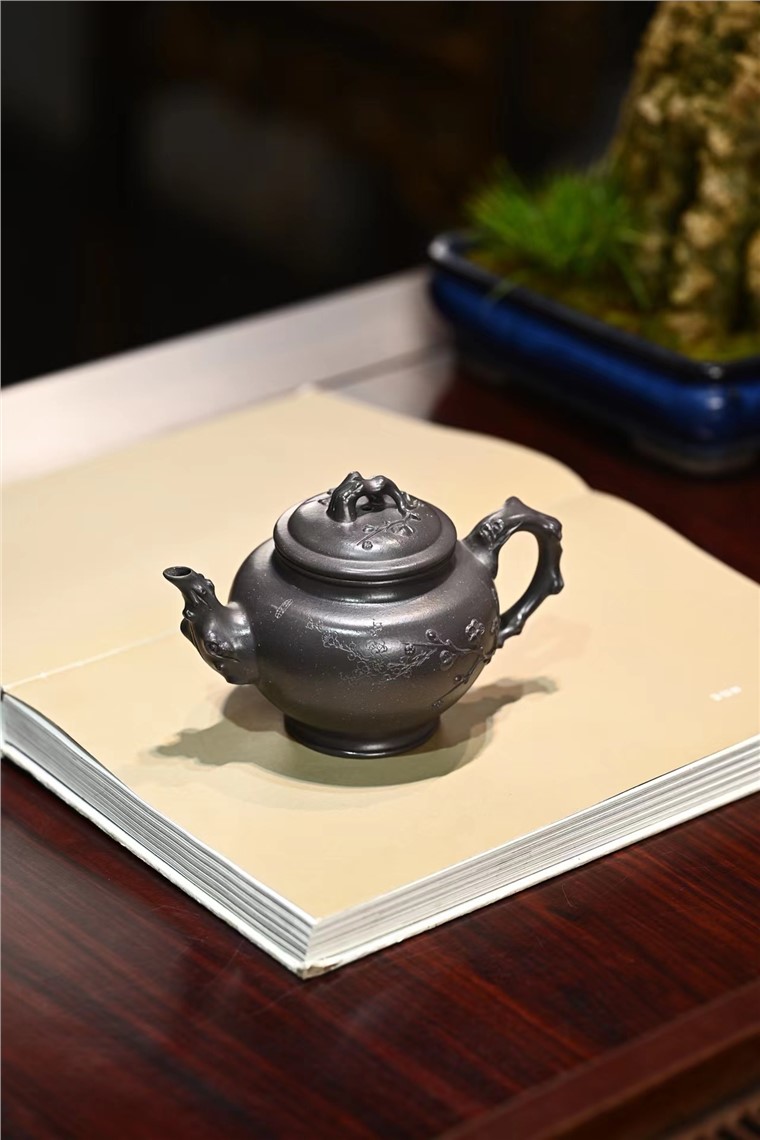 姚丽云作品 梅报春图片