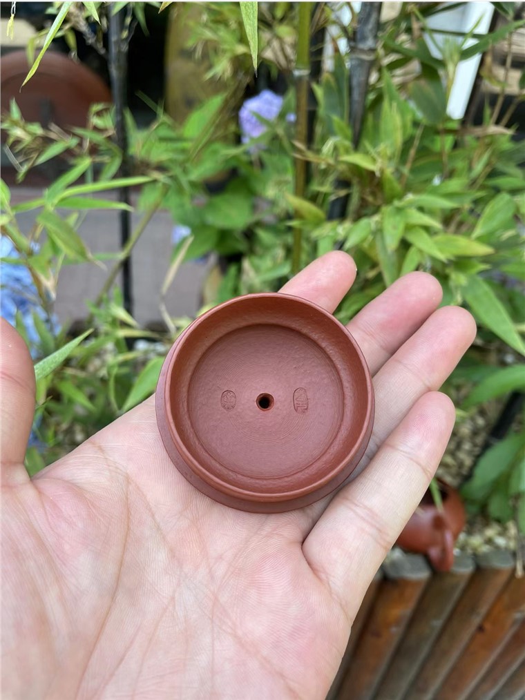 余文元作品 西施图片