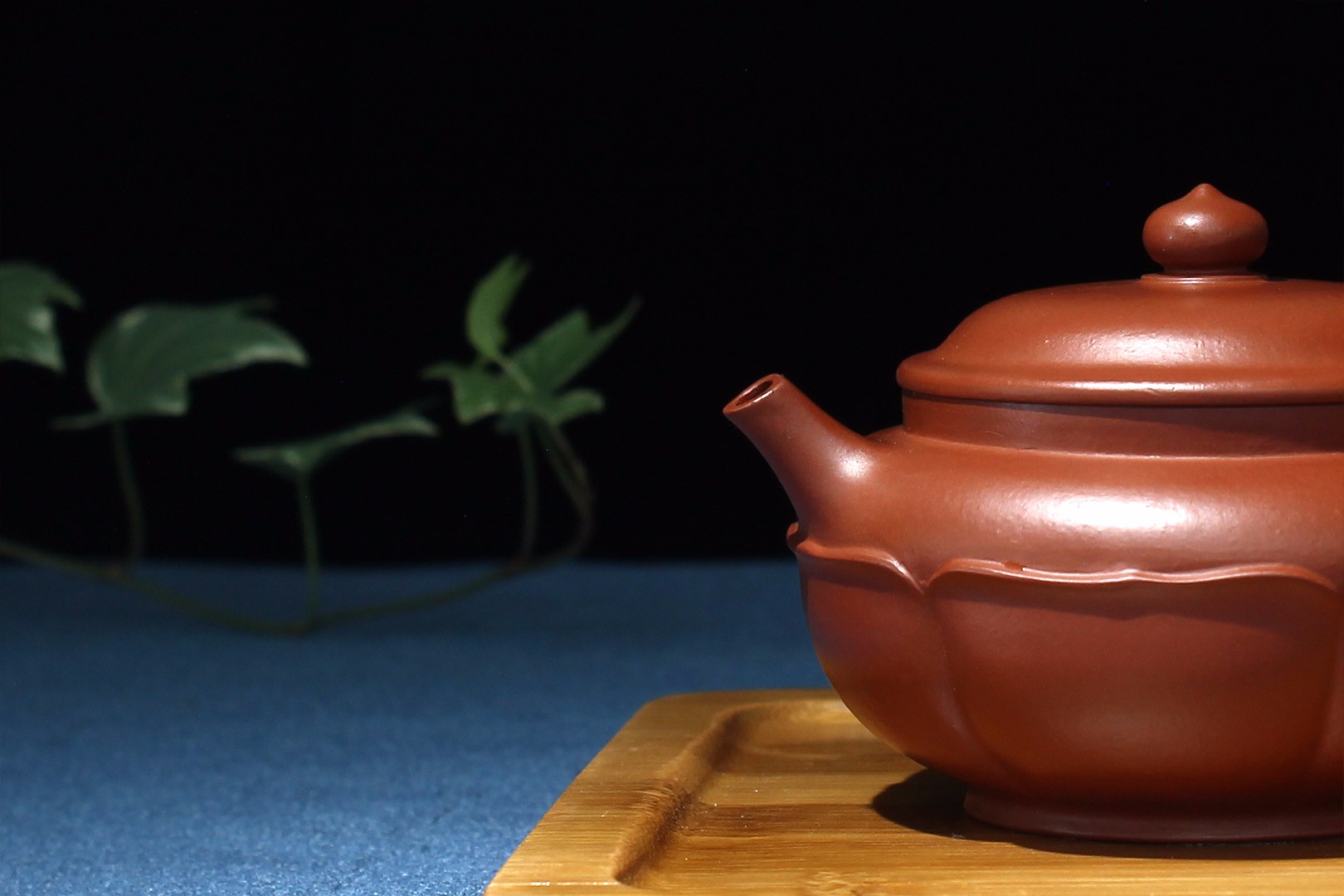 范玲作品 梵莲