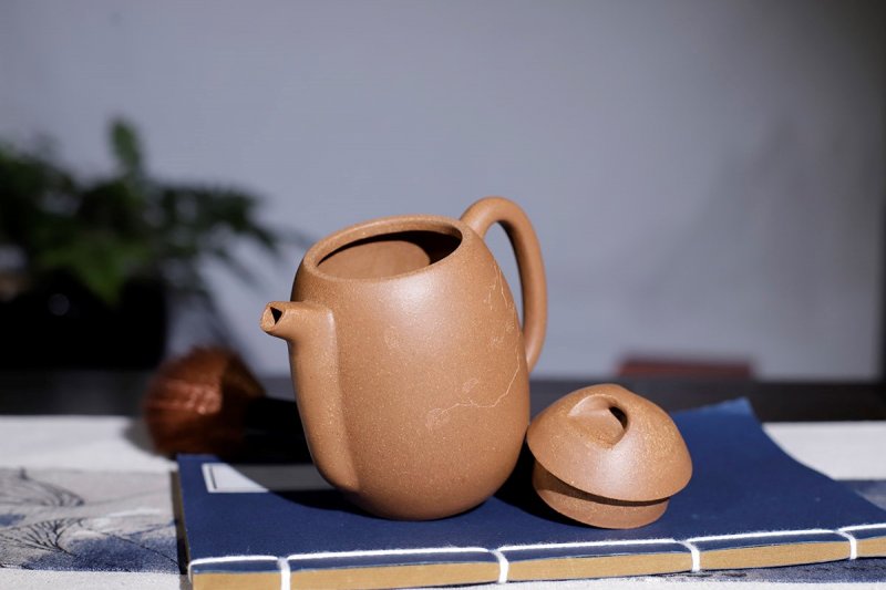 钱文英作品 龙旦