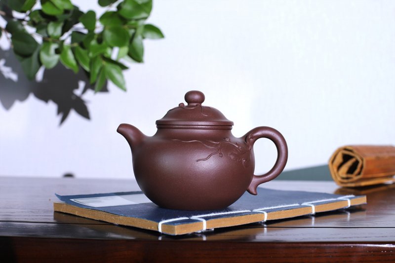 强国青作品 硕果莲子