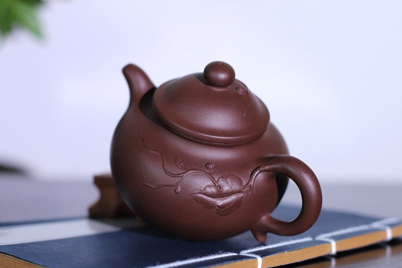 强国青作品 硕果莲子