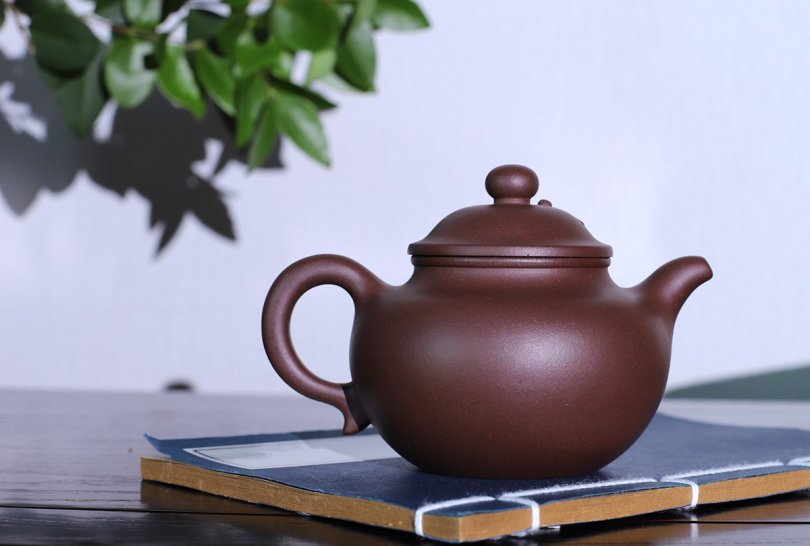 强国青作品 硕果莲子