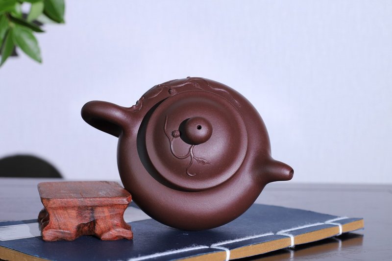 强国青作品 硕果莲子