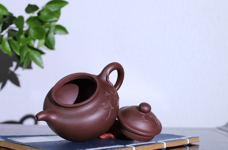 强国青作品 硕果莲子