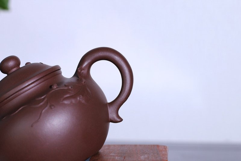 强国青作品 硕果莲子