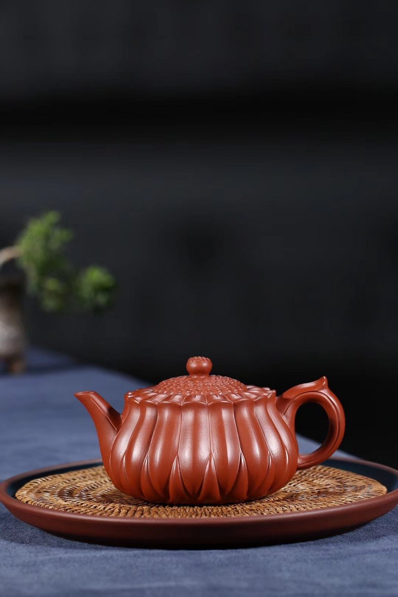 杨军保作品 菊蕾