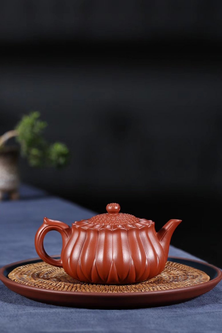 杨军保作品 菊蕾