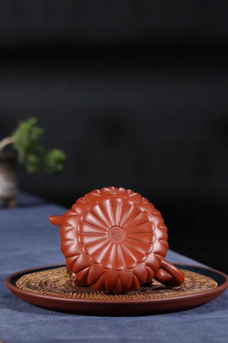 杨军保作品 菊蕾