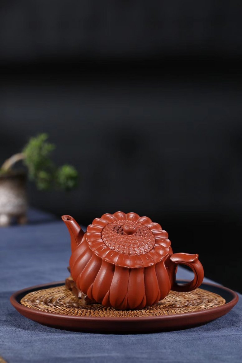 杨军保作品 菊蕾