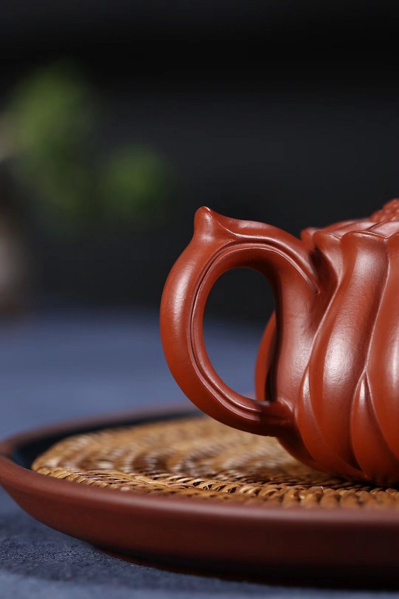 杨军保作品 菊蕾