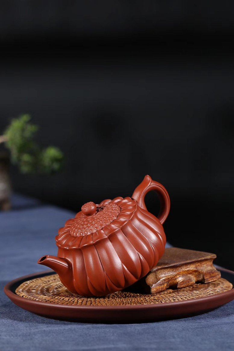 杨军保作品 菊蕾