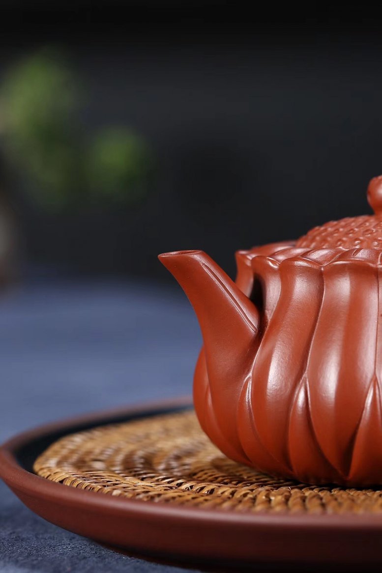杨军保作品 菊蕾