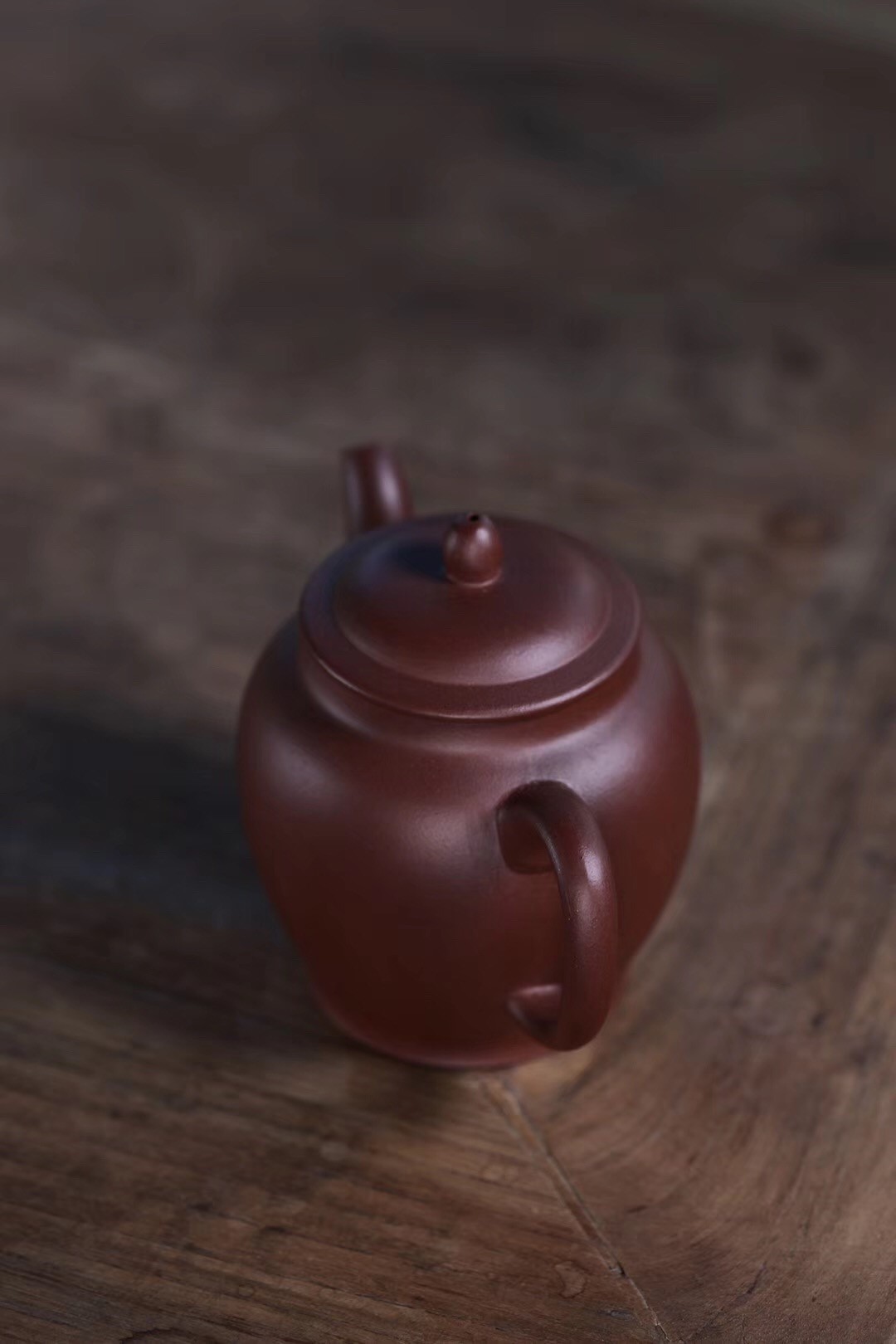 高建中作品 秋莲玉柱