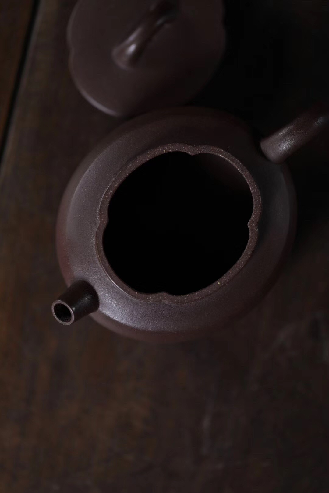 洪扣娣作品 含香海棠